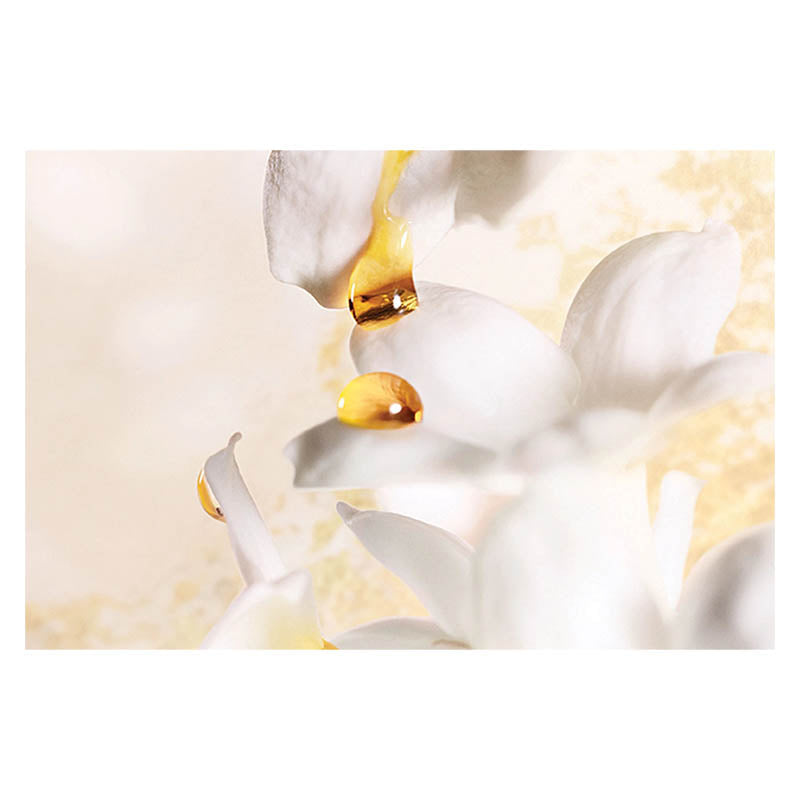 Christian Dior J’adore Eau De Parfum For Women 50ml